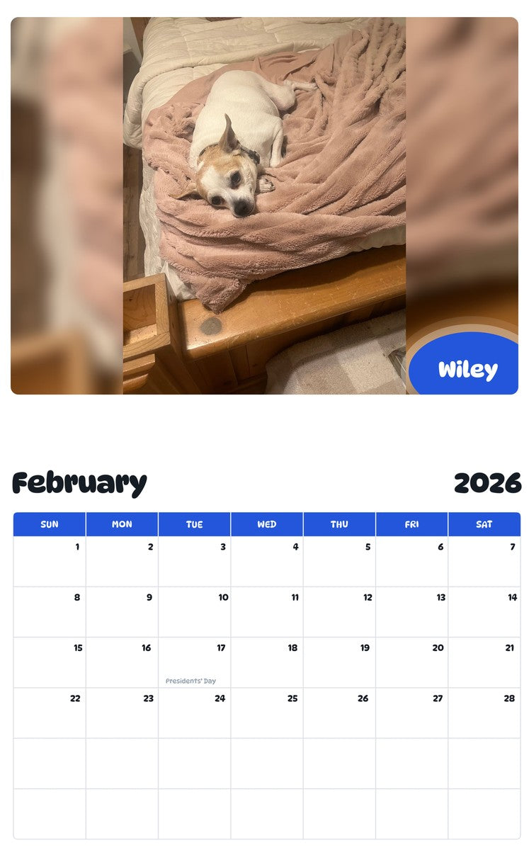 November 2025 - October 2026 Wiley - Pawidols Pet Calendar