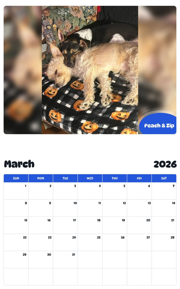 November 2025 - October 2026 Peach & Zip - Pawidols Pet Calendar