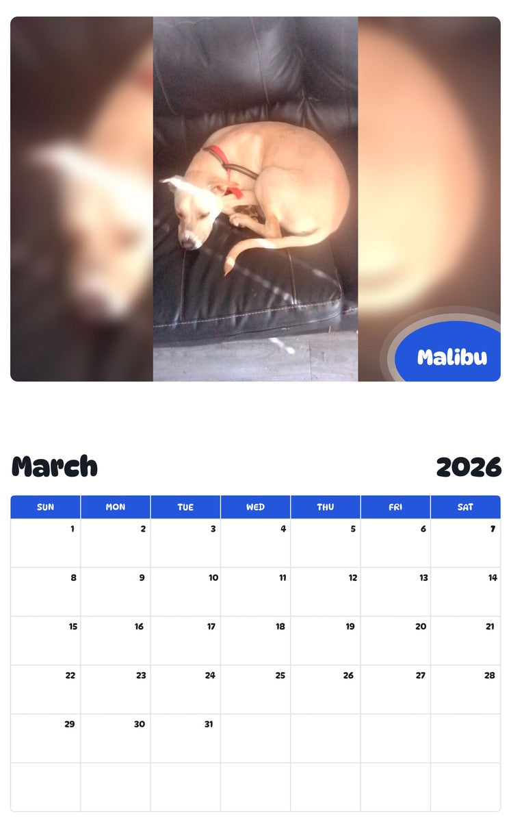 November 2025 - October 2026 Malibu - Pawidols Pet Calendar