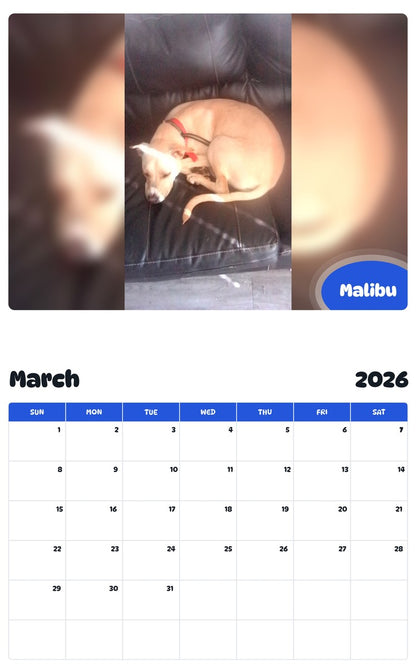 November 2025 - October 2026 Malibu - Pawidols Pet Calendar