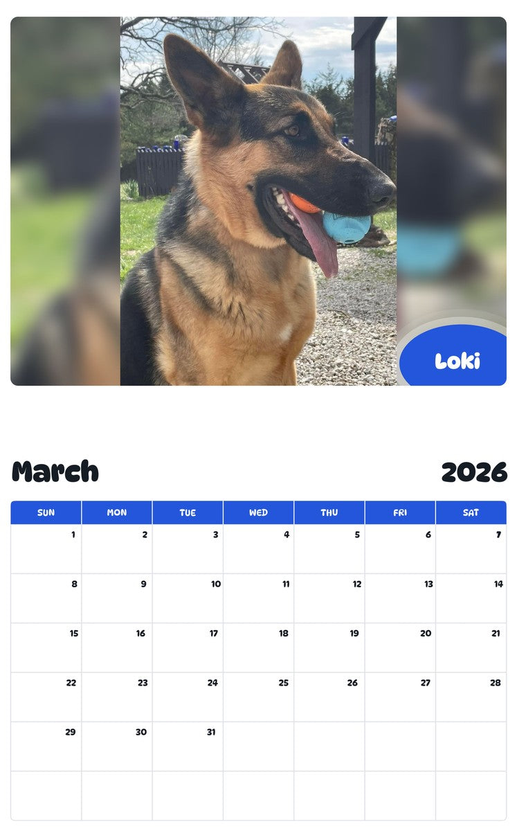 November 2025 - October 2026 Loki - Pawidols Pet Calendar