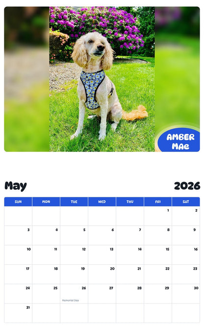 2026 - 2027 AMBER MAe - Pawidols Pet Calendar