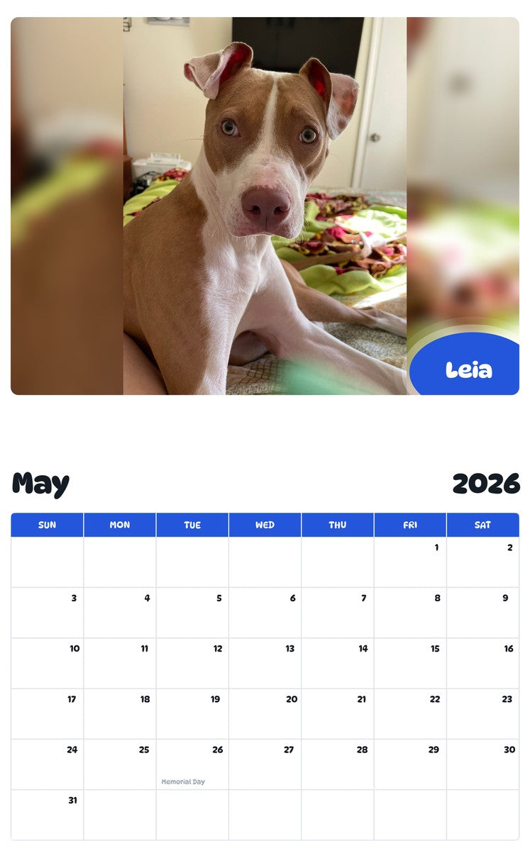 2026 - 2027 Leia - Pawidols Pet Calendar