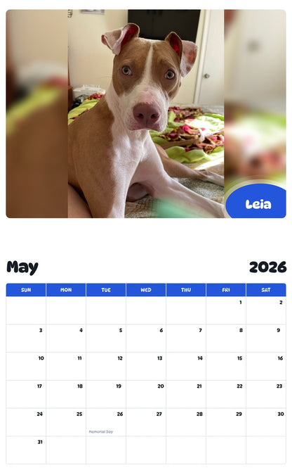 2026 - 2027 Leia - Pawidols Pet Calendar
