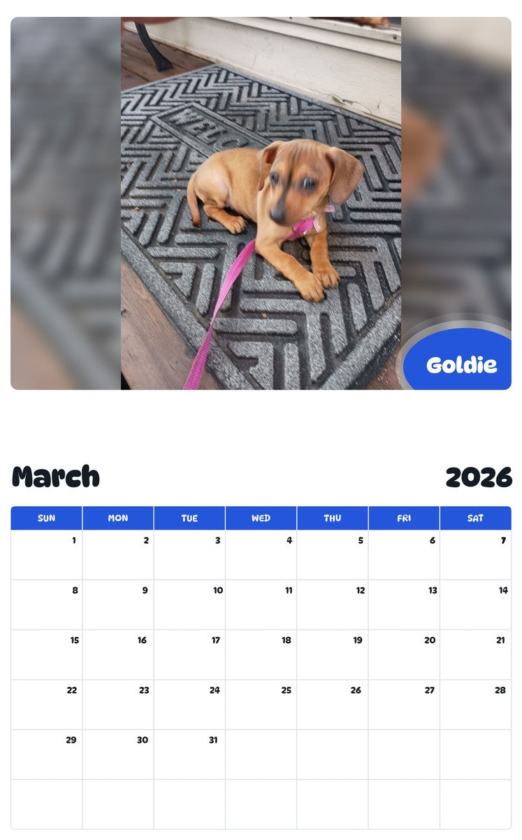 November 2025 - October 2026 Goldie - Pawidols Pet Calendar