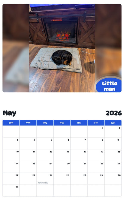 2026 - 2027 Little man - Pawidols Pet Calendar