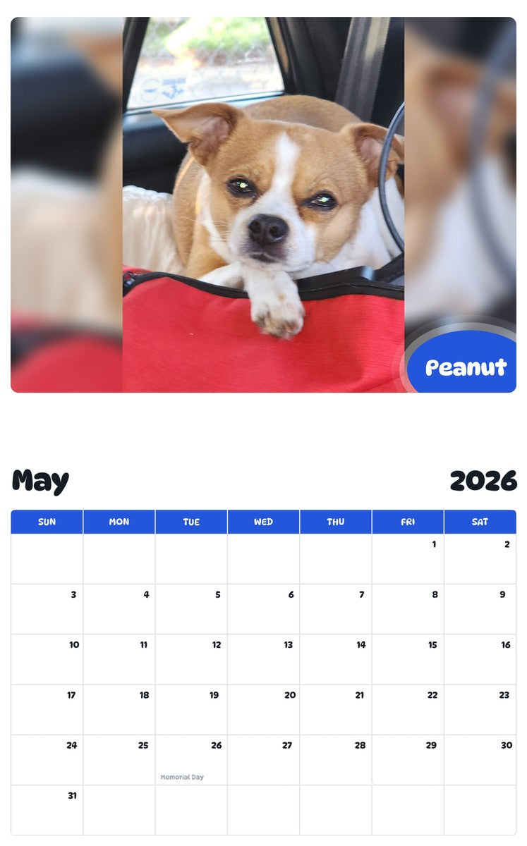 2026 - 2027 Peanut - Pawidols Pet Calendar