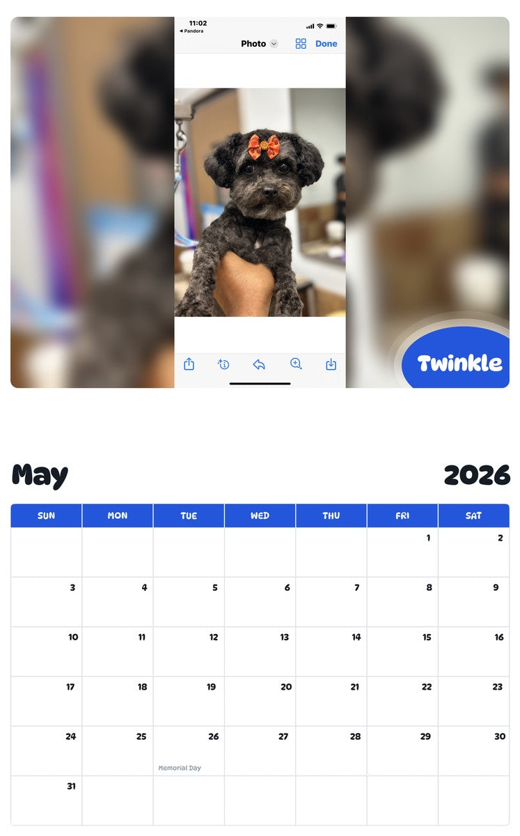 2026 - 2027 Twinkle - Pawidols Pet Calendar