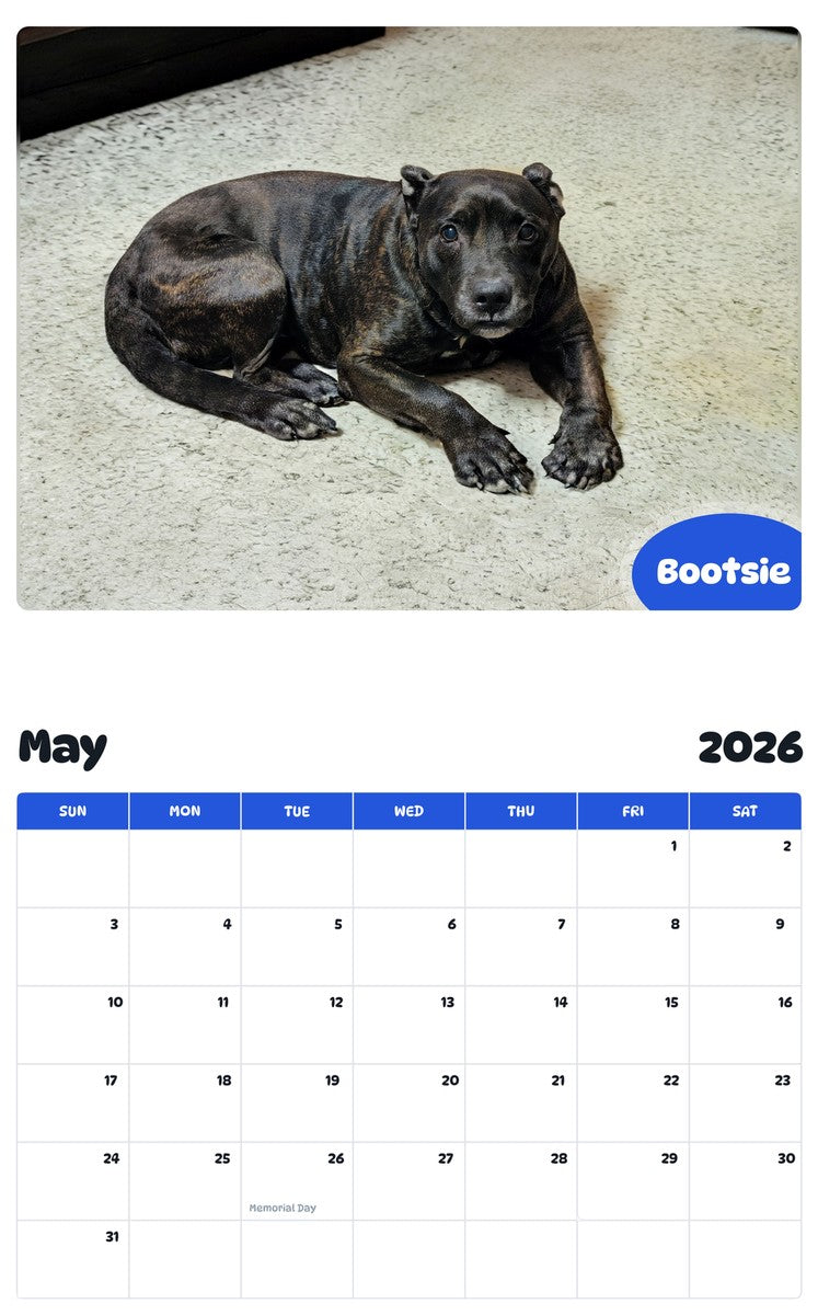 2026 - 2027 Bootsie - Pawidols Pet Calendar