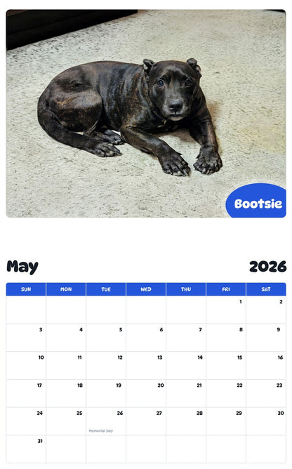 2026 - 2027 Bootsie - Pawidols Pet Calendar