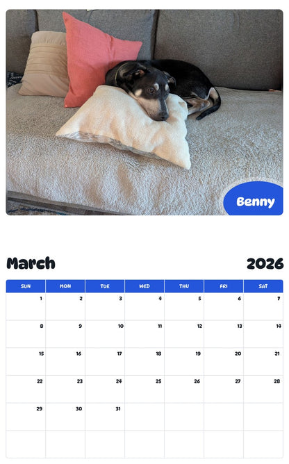 November 2025 - October 2026 Benny - Pawidols Pet Calendar