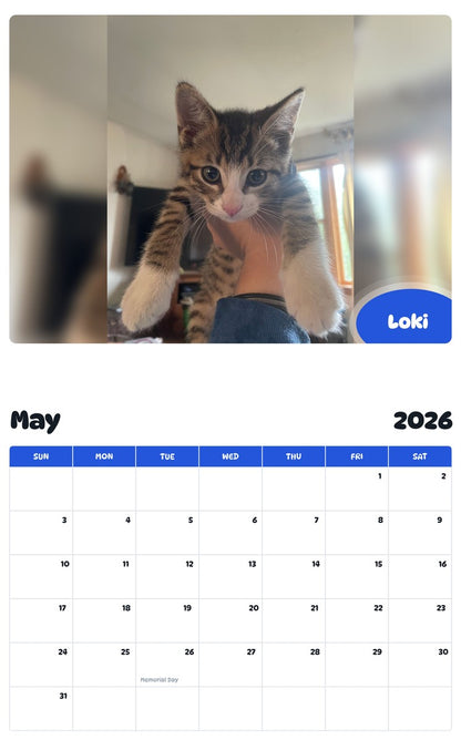 2026 - 2027 Loki - Pawidols Pet Calendar