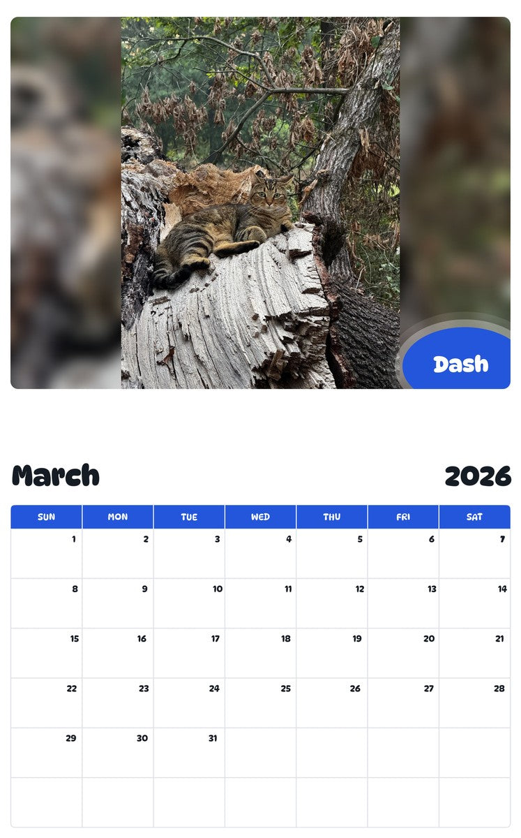 November 2025 - October 2026 Dash - Pawidols Pet Calendar