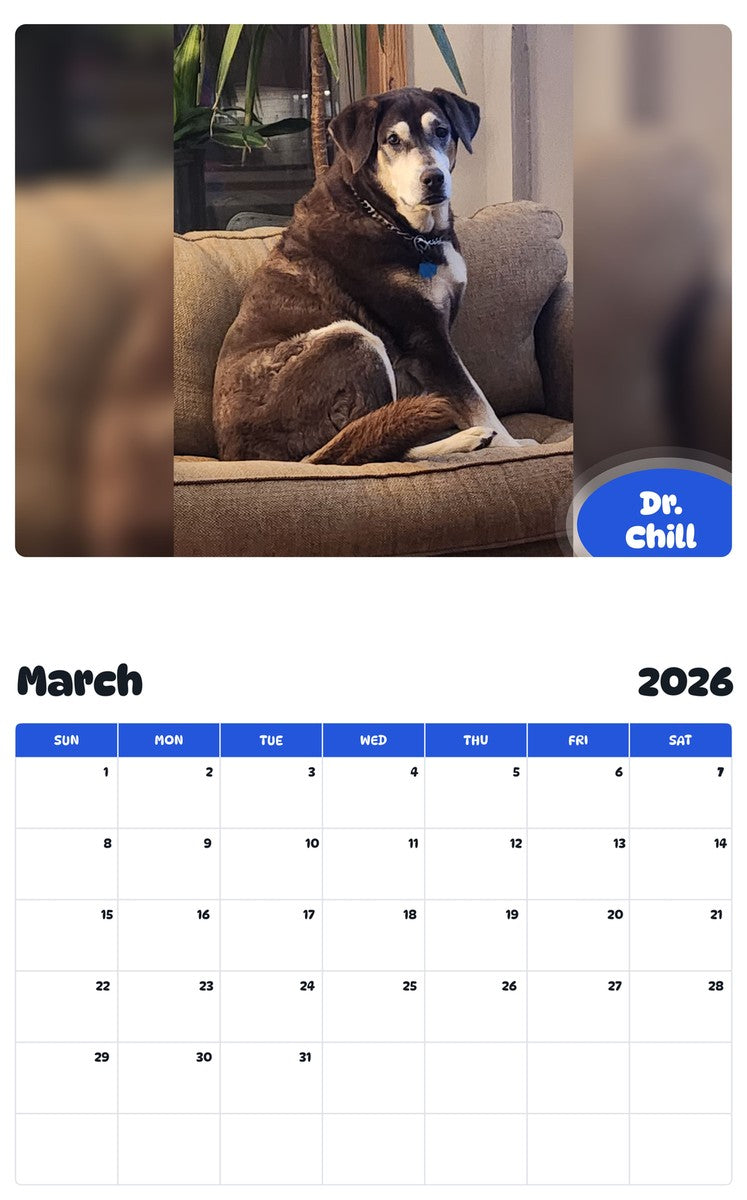 November 2025 - October 2026 Dr. Chill - Pawidols Pet Calendar