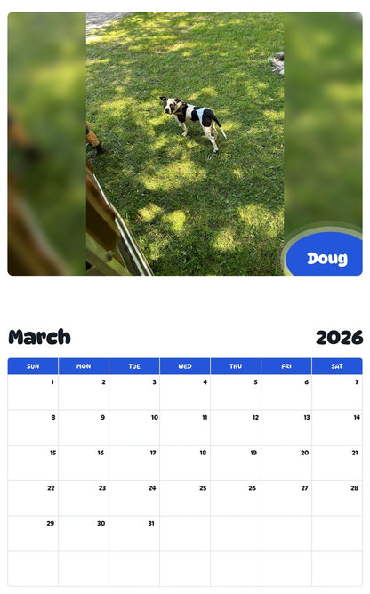 November 2025 - October 2026 Doug - Pawidols Pet Calendar