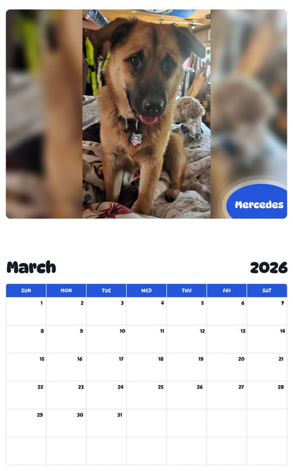 November 2025 - October 2026 Mercedes - Pawidols Pet Calendar
