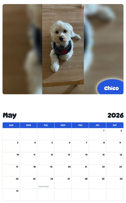 2026 - 2027 Chico - Pawidols Pet Calendar