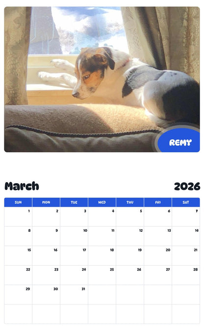 November 2025 - October 2026 REMY - Pawidols Pet Calendar