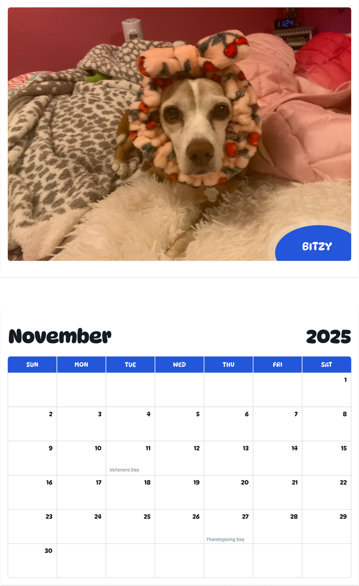July 2025 - June 2026 Bitzy - Pawidols Pet Calendar