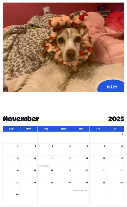 July 2025 - June 2026 Bitzy - Pawidols Pet Calendar