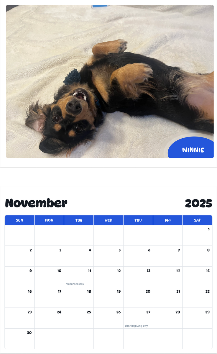 July 2025 - June 2026 Winnie - Pawidols Pet Calendar