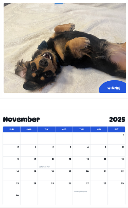 July 2025 - June 2026 Winnie - Pawidols Pet Calendar