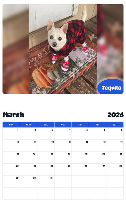 November 2025 - October 2026 Tequila - Pawidols Pet Calendar