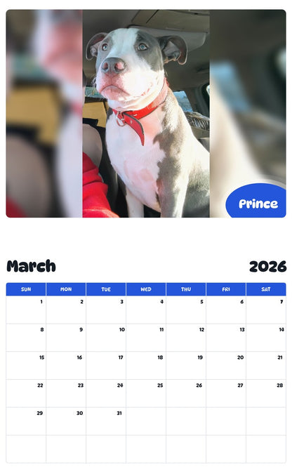 November 2025 - October 2026 Prince - Pawidols Pet Calendar