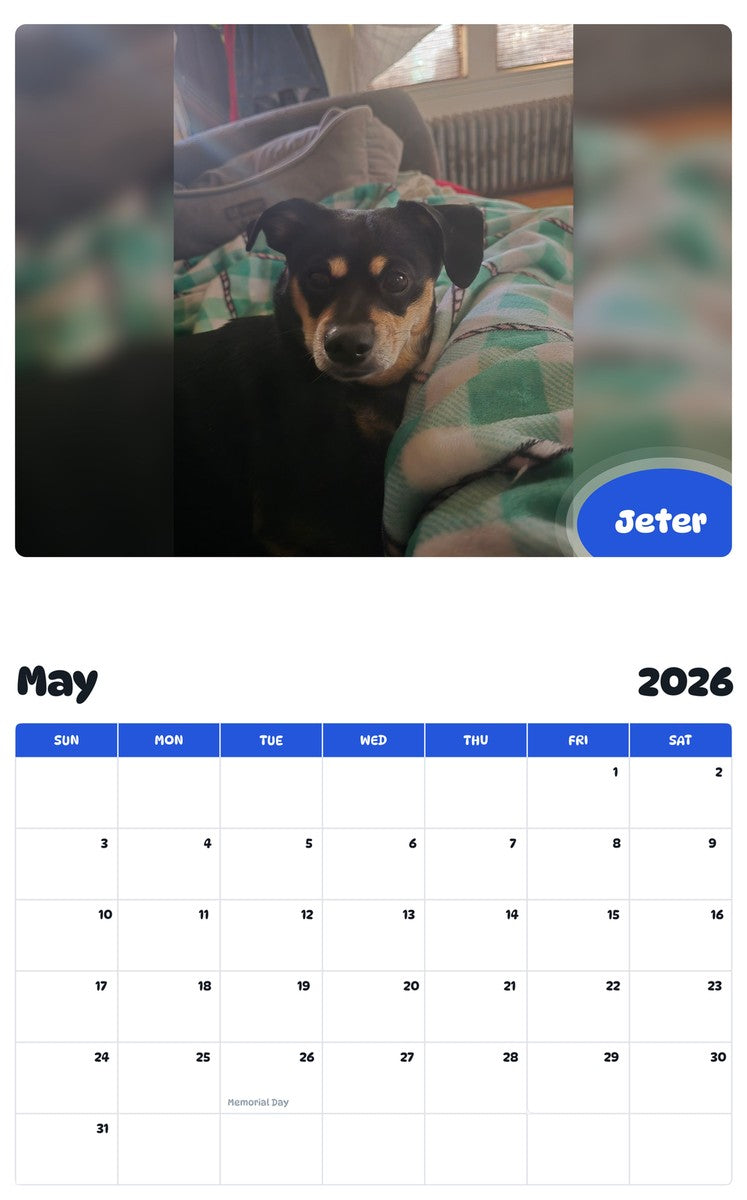 2026 - 2027 Jeter - Pawidols Pet Calendar