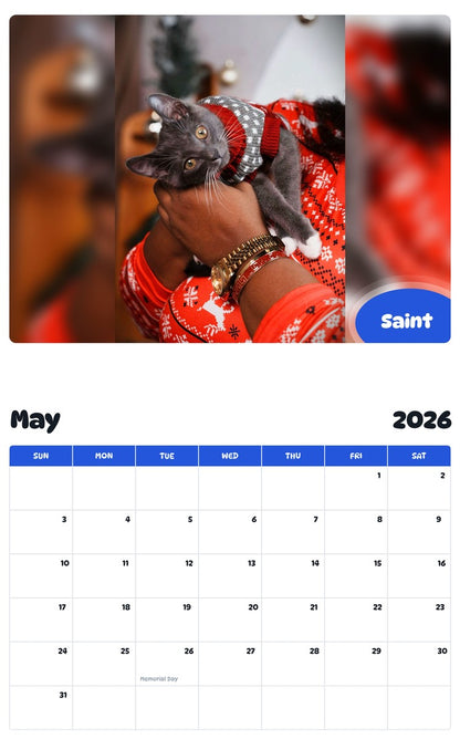 2026 - 2027 Saint - Pawidols Pet Calendar