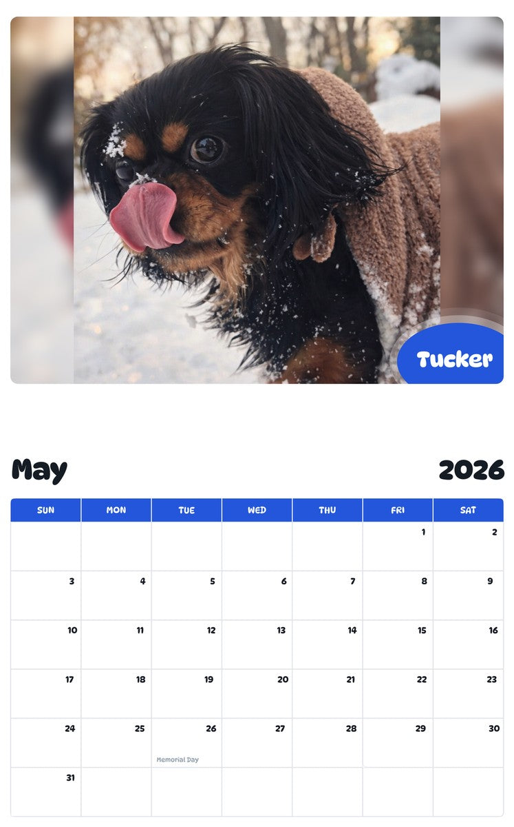 2026 - 2027 Tucker - Pawidols Pet Calendar