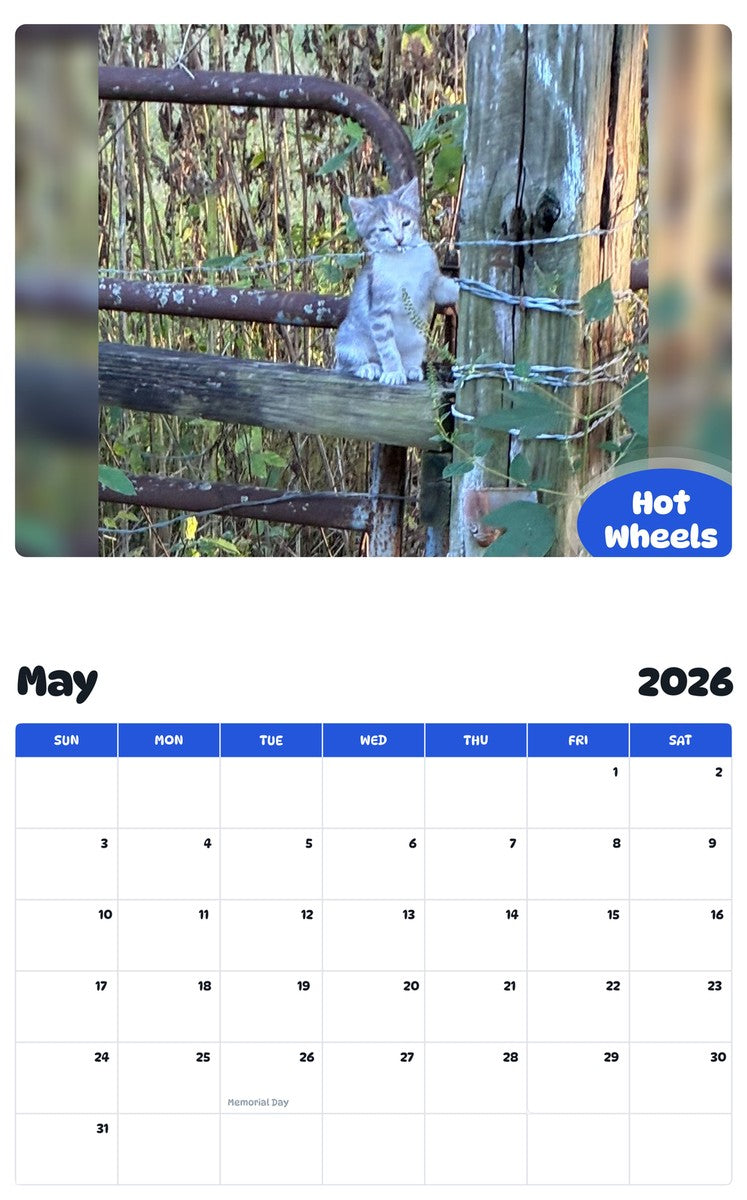 2026 - 2027 Hot Wheels - Pawidols Pet Calendar