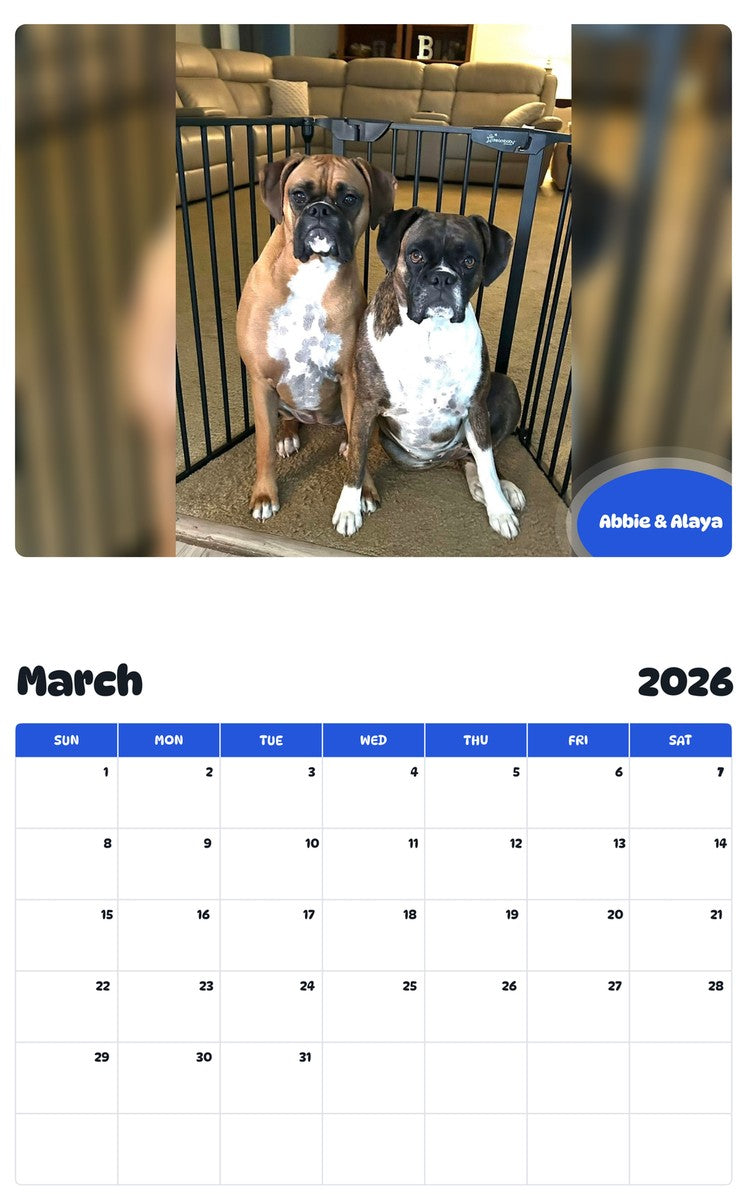 November 2025 - October 2026 Abbie & Alaya - Pawidols Pet Calendar
