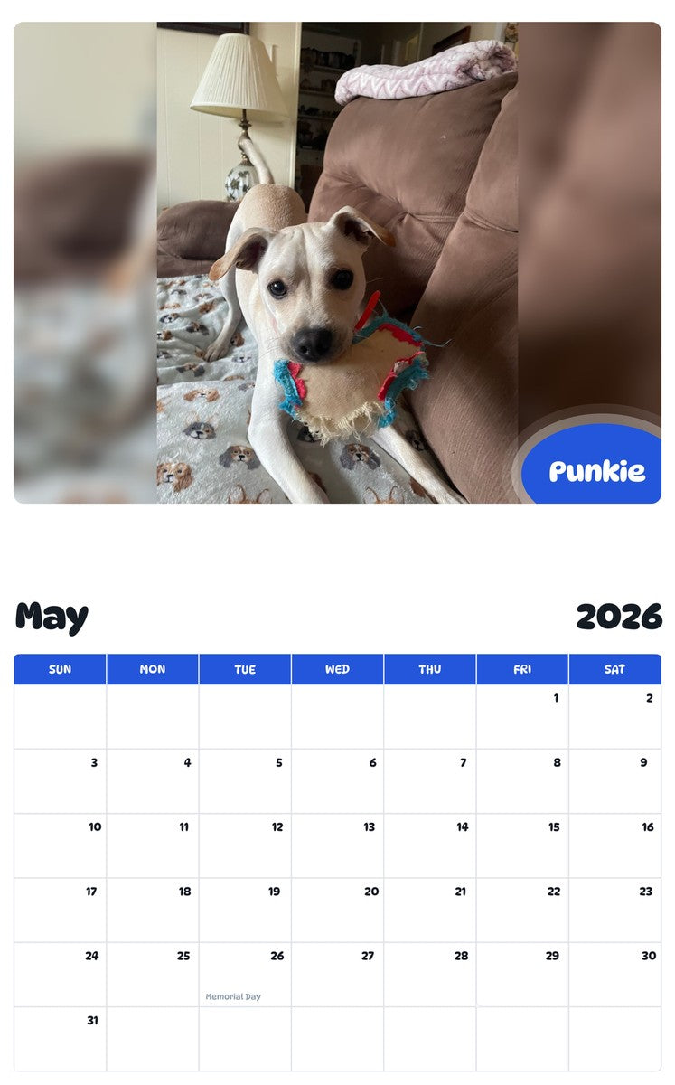 2026 - 2027 Punkie - Pawidols Pet Calendar