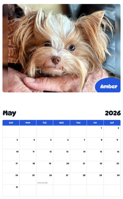 2026 - 2027 Amber - Pawidols Pet Calendar