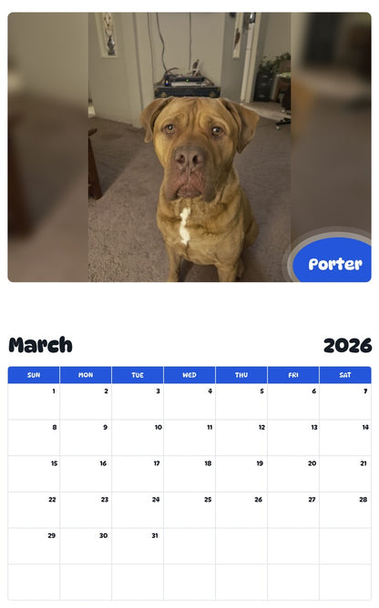 November 2025 - October 2026 Porter - Pawidols Pet Calendar