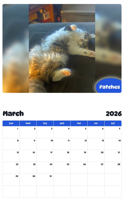 November 2025 - October 2026 Patches - Pawidols Pet Calendar