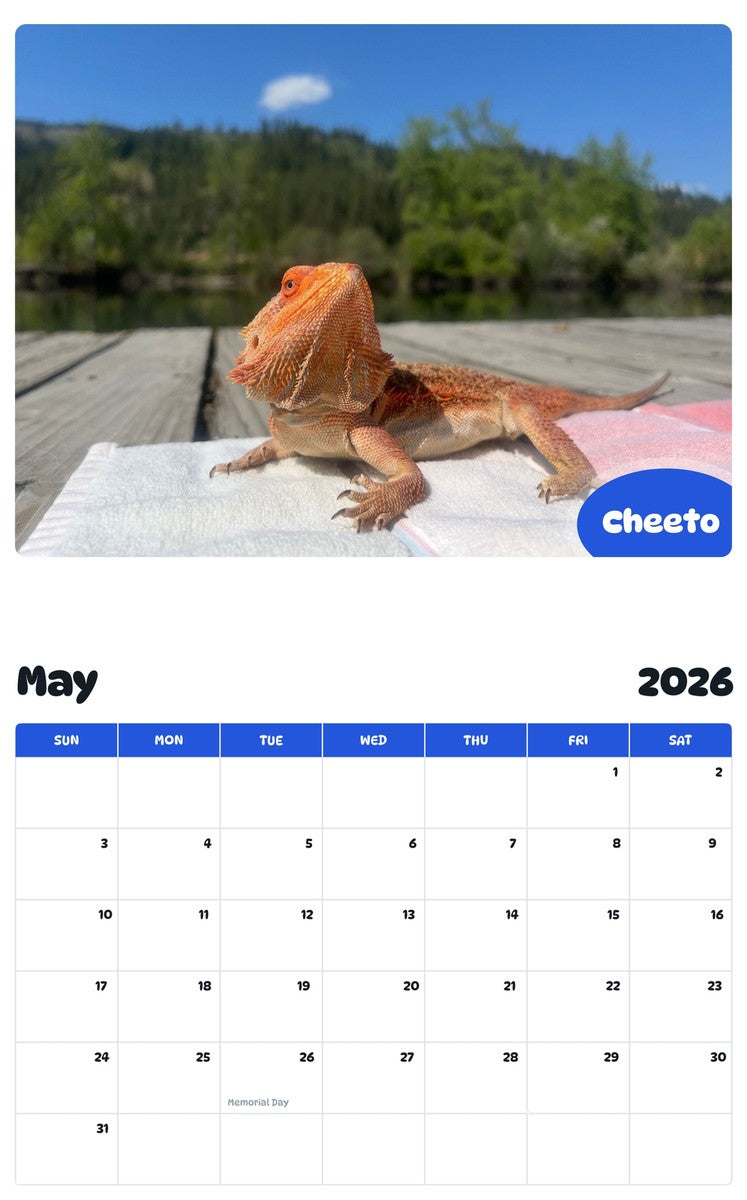 2026 - 2027 Cheeto - Pawidols Pet Calendar