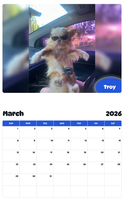 November 2025 - October 2026 Troy - Pawidols Pet Calendar