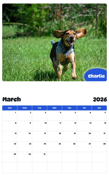 November 2025 - October 2026 Charlie - Pawidols Pet Calendar