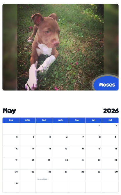 2026 - 2027 Moses - Pawidols Pet Calendar