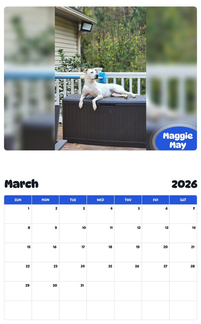 November 2025 - October 2026 Maggie May - Pawidols Pet Calendar