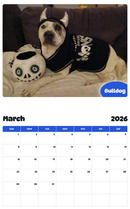 November 2025 - October 2026 Bulldog - Pawidols Pet Calendar
