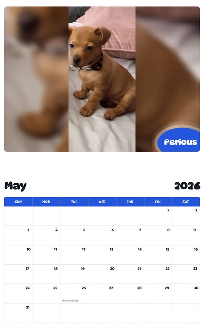 2026 - 2027 Perious - Pawidols Pet Calendar