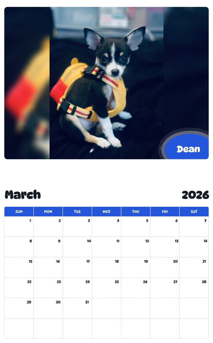 November 2025 - October 2026 Dean - Pawidols Pet Calendar