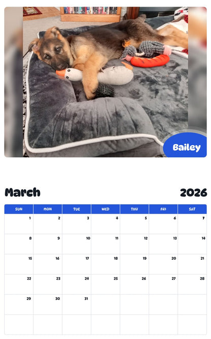 November 2025 - October 2026 Bailey - Pawidols Pet Calendar