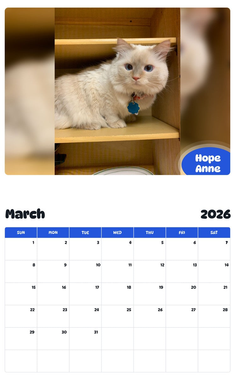 November 2025 - October 2026 Hope Anne - Pawidols Pet Calendar