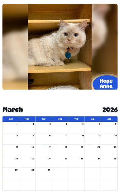 November 2025 - October 2026 Hope Anne - Pawidols Pet Calendar