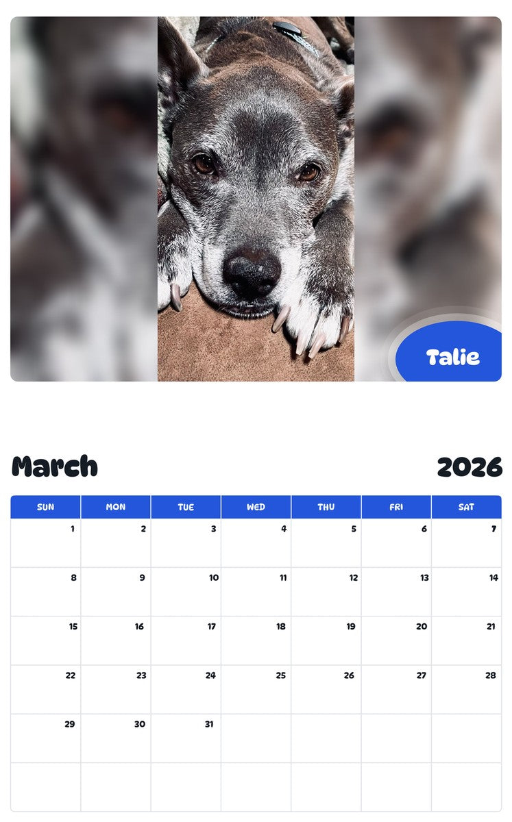 November 2025 - October 2026 Talie - Pawidols Pet Calendar