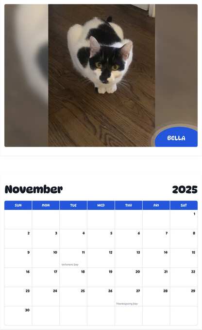 July 2025 - June 2026 Bella - Pawidols Pet Calendar
